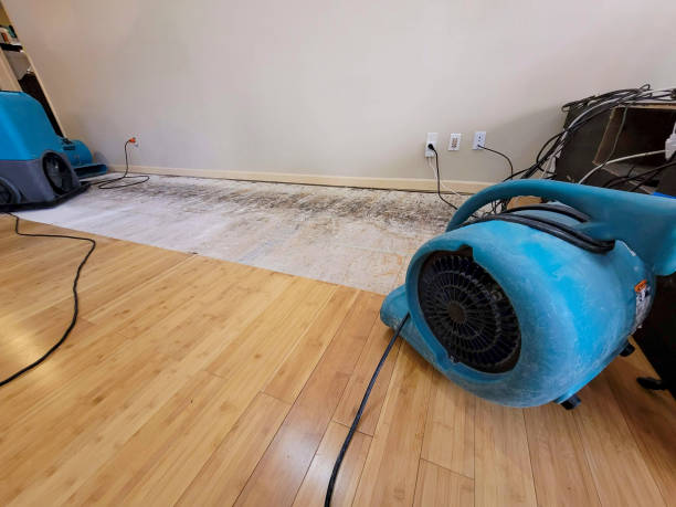 Professional Sewage Cleanup technician working in Vallejo, CA